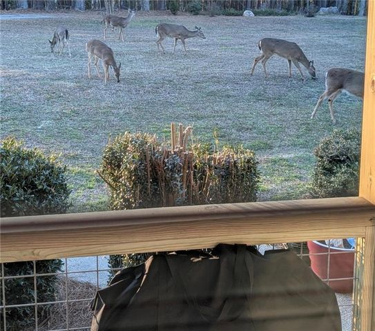 479 Morgan Valley Road, Rockmart, GA 30153