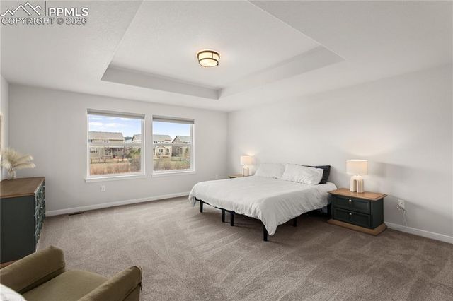 17529 Lucky Penny Lane, Monument, CO 80132