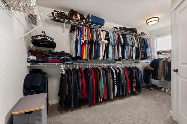 17529 Lucky Penny Lane, Monument, CO 80132