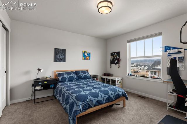 17529 Lucky Penny Lane, Monument, CO 80132