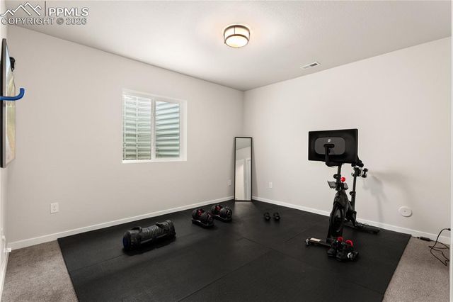 17529 Lucky Penny Lane, Monument, CO 80132