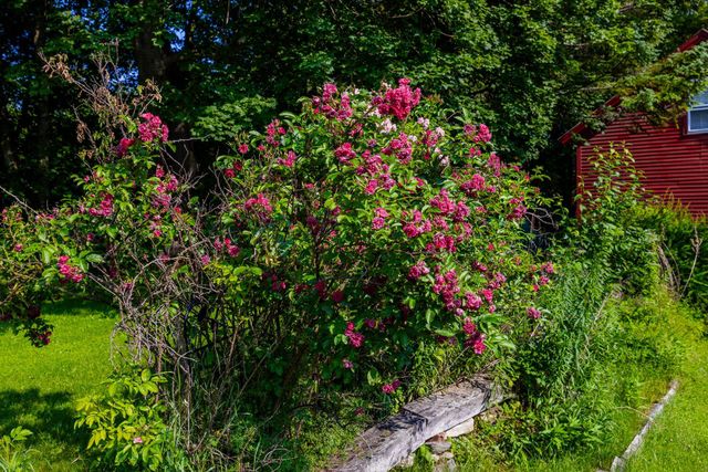 712 VT Route 30, Dorset, VT 05251