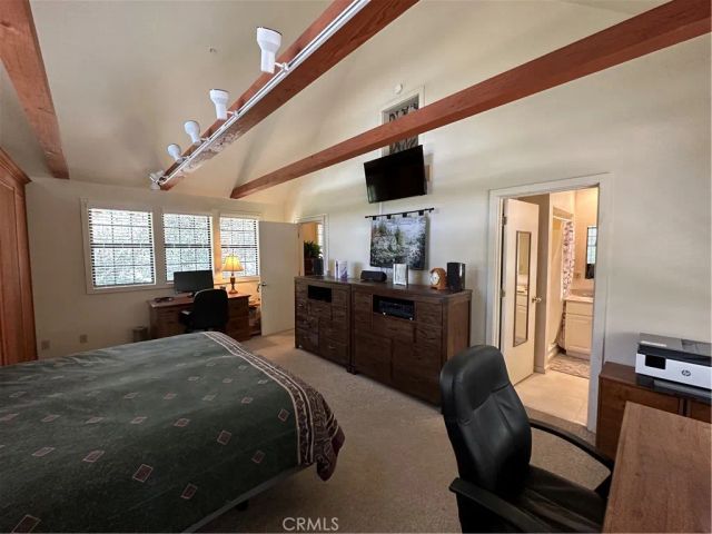 9120 Torrey Pines, Forest Falls, CA 92339