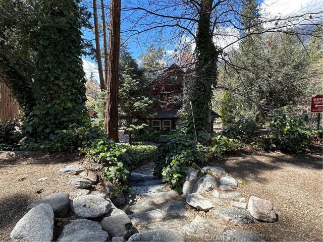 9120 Torrey Pines, Forest Falls, CA 92339