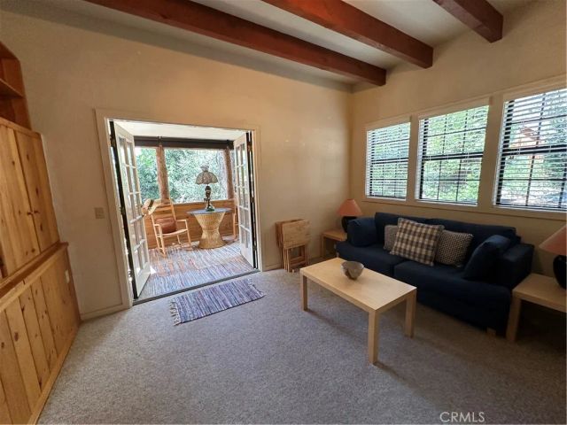 9120 Torrey Pines, Forest Falls, CA 92339