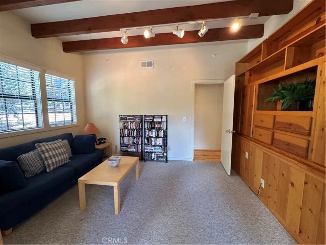 9120 Torrey Pines, Forest Falls, CA 92339