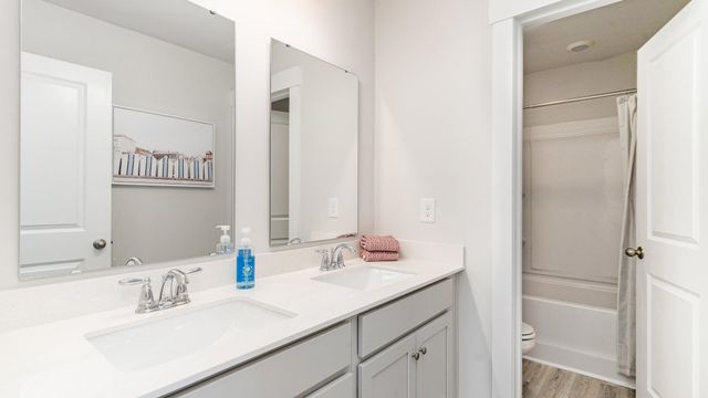 3033 Berry Bush Way, Conway, SC 29526