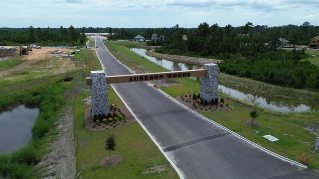 3033 Berry Bush Way, Conway, SC 29526