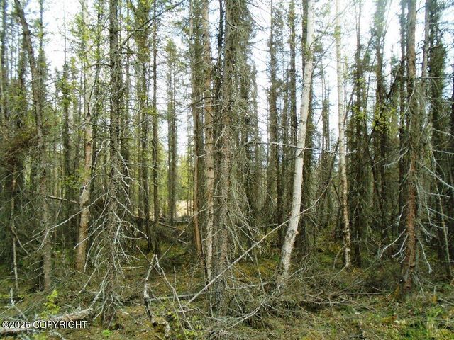 6677 S Lark Circle, Wasilla, AK 99623