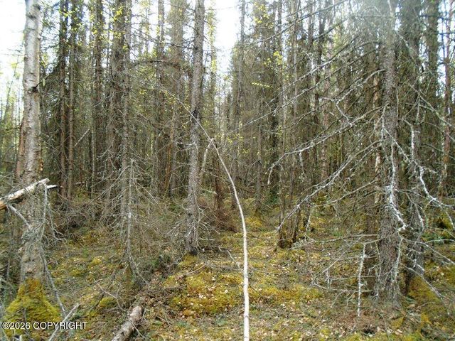 6677 S Lark Circle, Wasilla, AK 99623