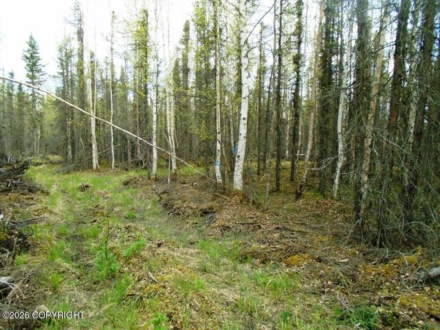 6677 S Lark Circle, Wasilla, AK 99623