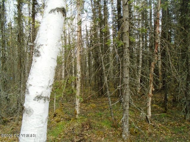 6677 S Lark Circle, Wasilla, AK 99623