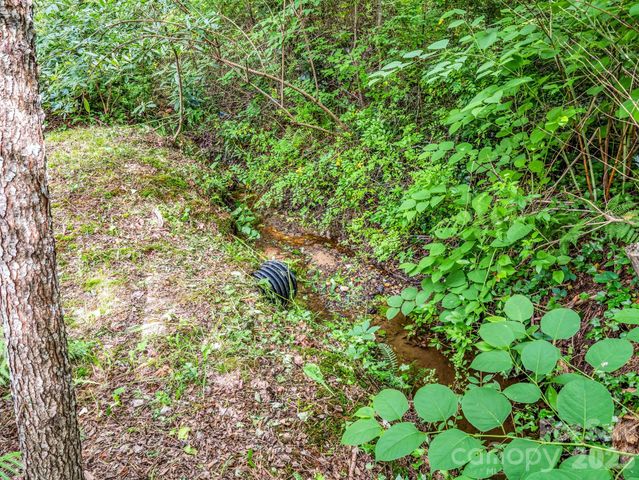 701 Azalea Avenue, Black Mountain, NC 28711