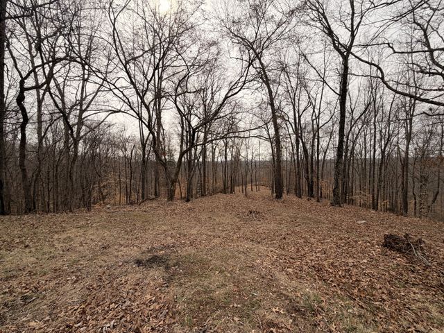 4474 Cumberland City Rd, Indian Mound, TN 37079