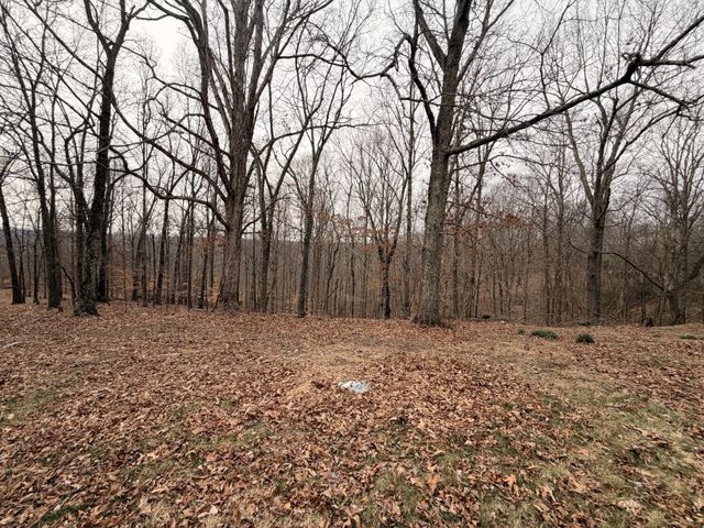 4474 Cumberland City Rd, Indian Mound, TN 37079
