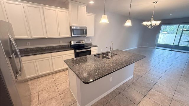 10567 HERON HIDEAWAY LOOP, Land O Lakes, FL 34638