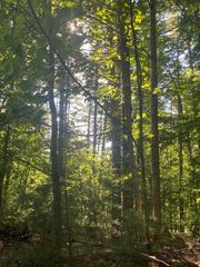 Lot 35 Middle Creek Road, Blairsville, GA 30512