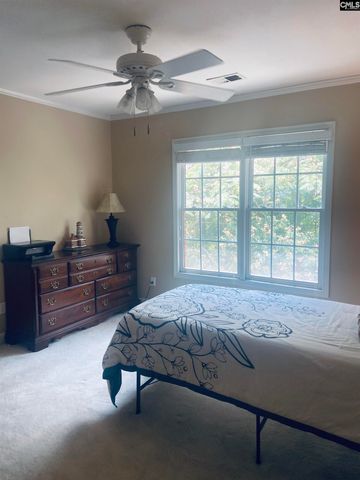 417 Highwater Court, Chapin, SC 29036