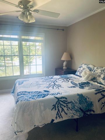 417 Highwater Court, Chapin, SC 29036