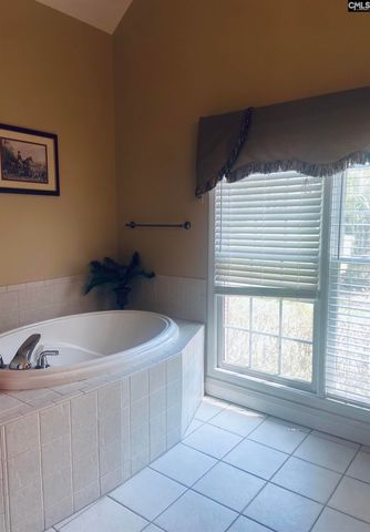 417 Highwater Court, Chapin, SC 29036
