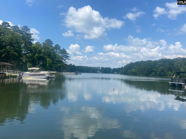 417 Highwater Court, Chapin, SC 29036
