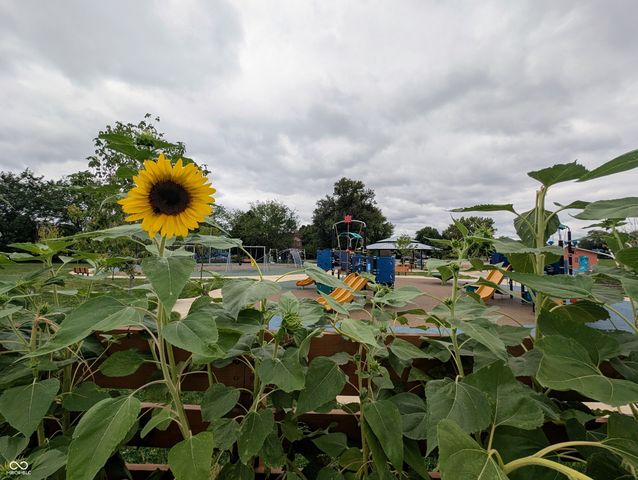 1471 N Delaware Street, Indianapolis, IN 46202