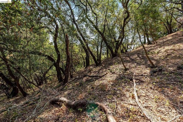 0 Mendenhall Rd, Oakland, CA 94605