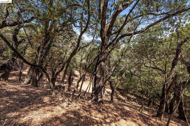 0 Mendenhall Rd, Oakland, CA 94605