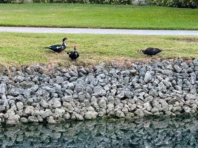 4683 WINSTON LANE N 30, Sarasota, FL 34235