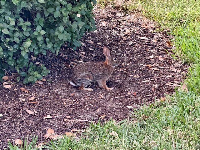 4683 WINSTON LANE N 30, Sarasota, FL 34235