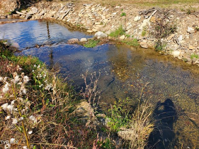 1267 Highway 143, Roan Mountain, TN 37687