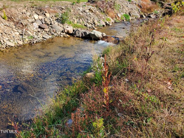 1267 Highway 143, Roan Mountain, TN 37687