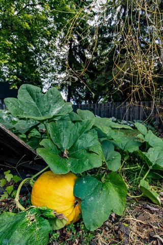 1201 Elm Street N, Fargo, ND 58102