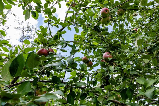 1201 Elm Street N, Fargo, ND 58102