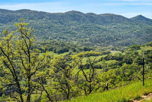 95 Longhorn Ridge Rd, Napa, CA 94558