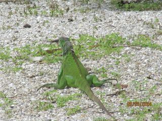 2754 Shoreview DR, Naples, FL 34112