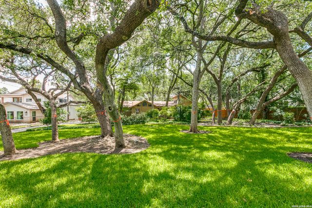 236 Castano, San Antonio, TX 78209