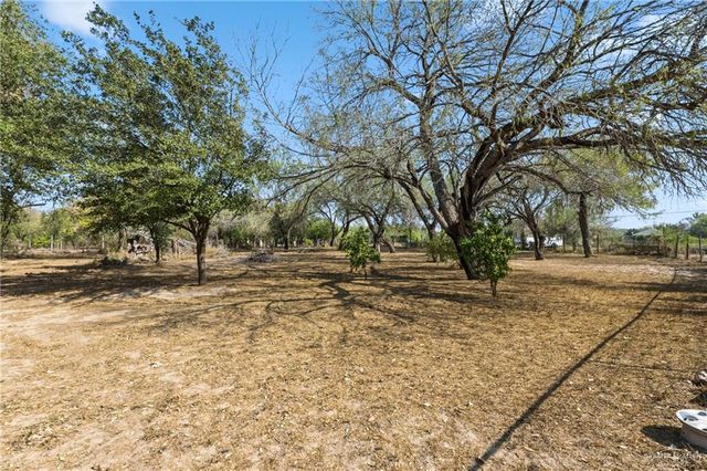 8913 N Bentsen Palm Drive, Mission, TX 78574
