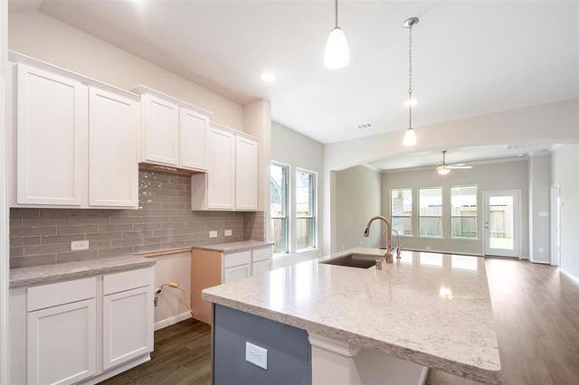 1435 Cecilia Vines Drive, Conroe, TX 77301