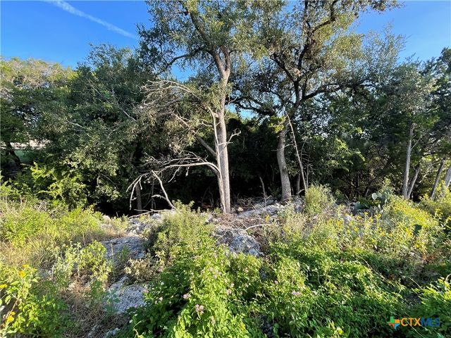 2111 Lakeview Drive, Canyon Lake, TX 78133