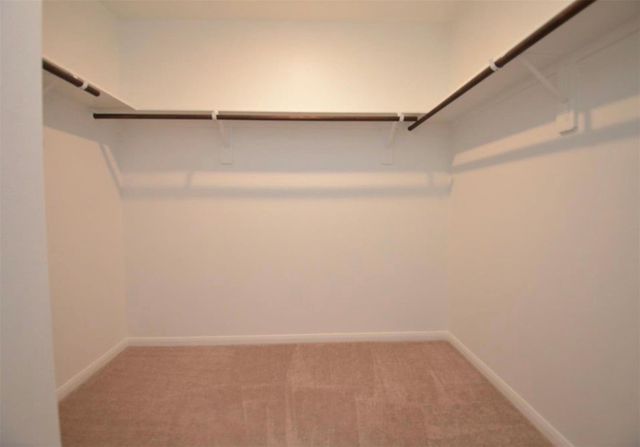 16439 Big Hickory Dr, Conroe, TX 77302