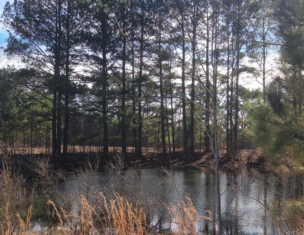 293 Social Hill Loop, Malvern, AR 72104