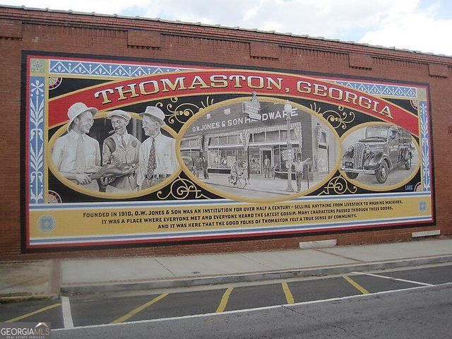 705 Triune Mill Road, Thomaston, GA 30286