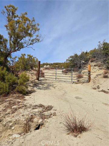 61400 Indian Paint Brush Road, Anza, CA 92539