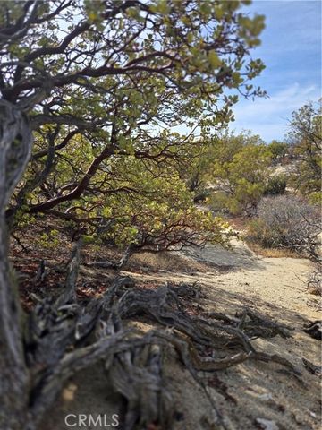 61400 Indian Paint Brush Road, Anza, CA 92539