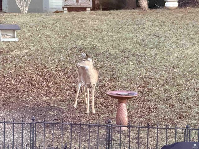 3713 Shadow Wood Lane, Manhattan, KS 66503