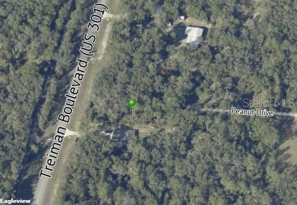 Image 1 of property listing at 7466 TREIMAN BOULEVARD, Webster, FL 33597