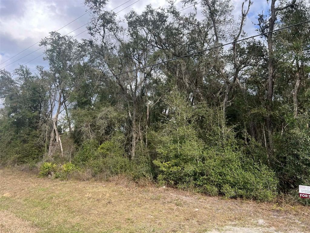Image 2 of property listing at 7466 TREIMAN BOULEVARD, Webster, FL 33597
