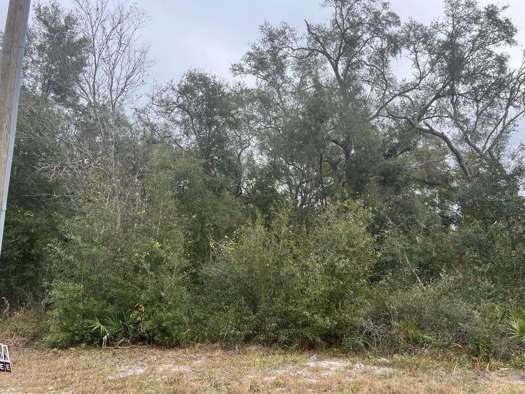 Image 3 of property listing at 7466 TREIMAN BOULEVARD, Webster, FL 33597