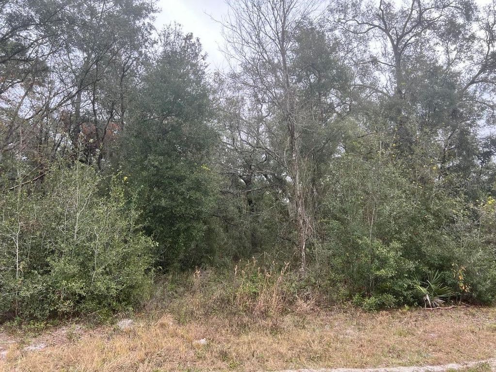 Image 5 of property listing at 7466 TREIMAN BOULEVARD, Webster, FL 33597